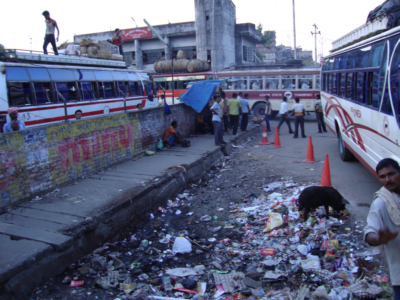 A trash pile in Guwahati, with a feral hog rooting through it.