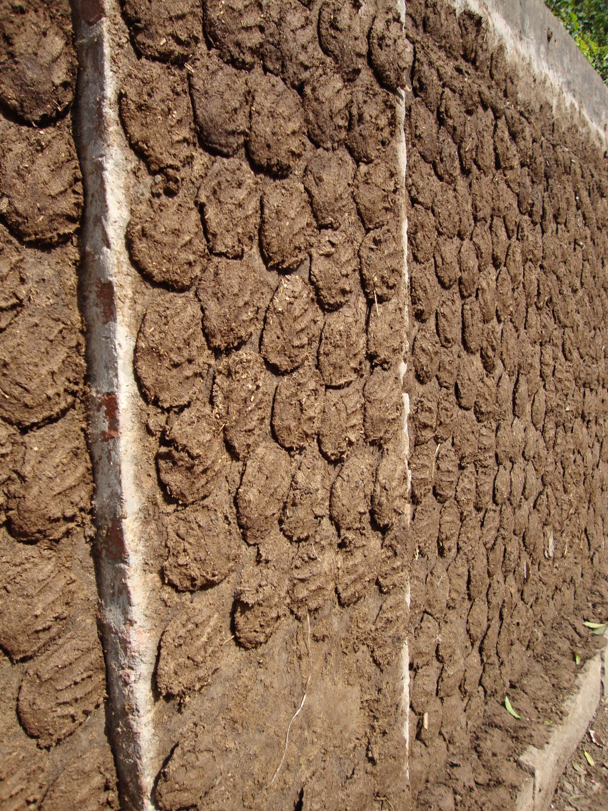 Cow dung drying on a wall in Varanasi.