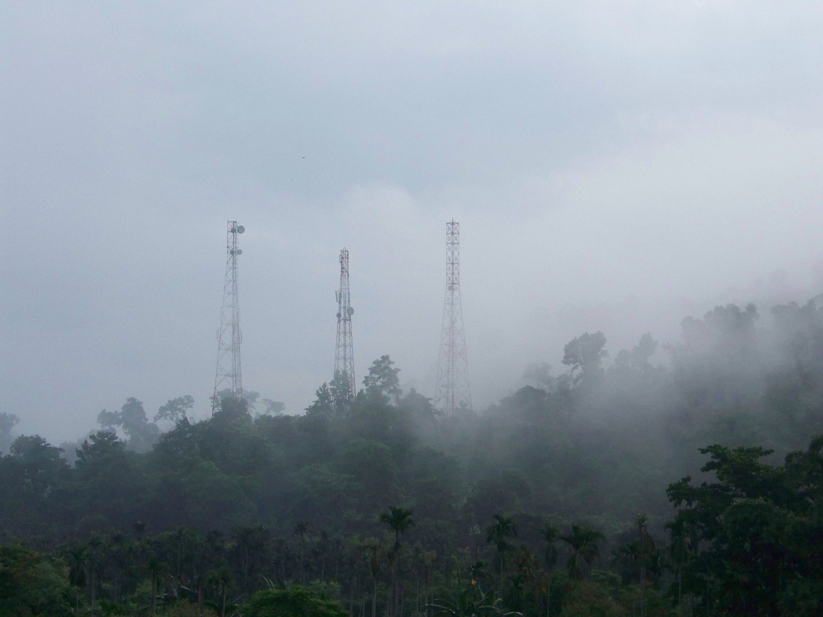 Microwave and cell towers on a Garo hillside.