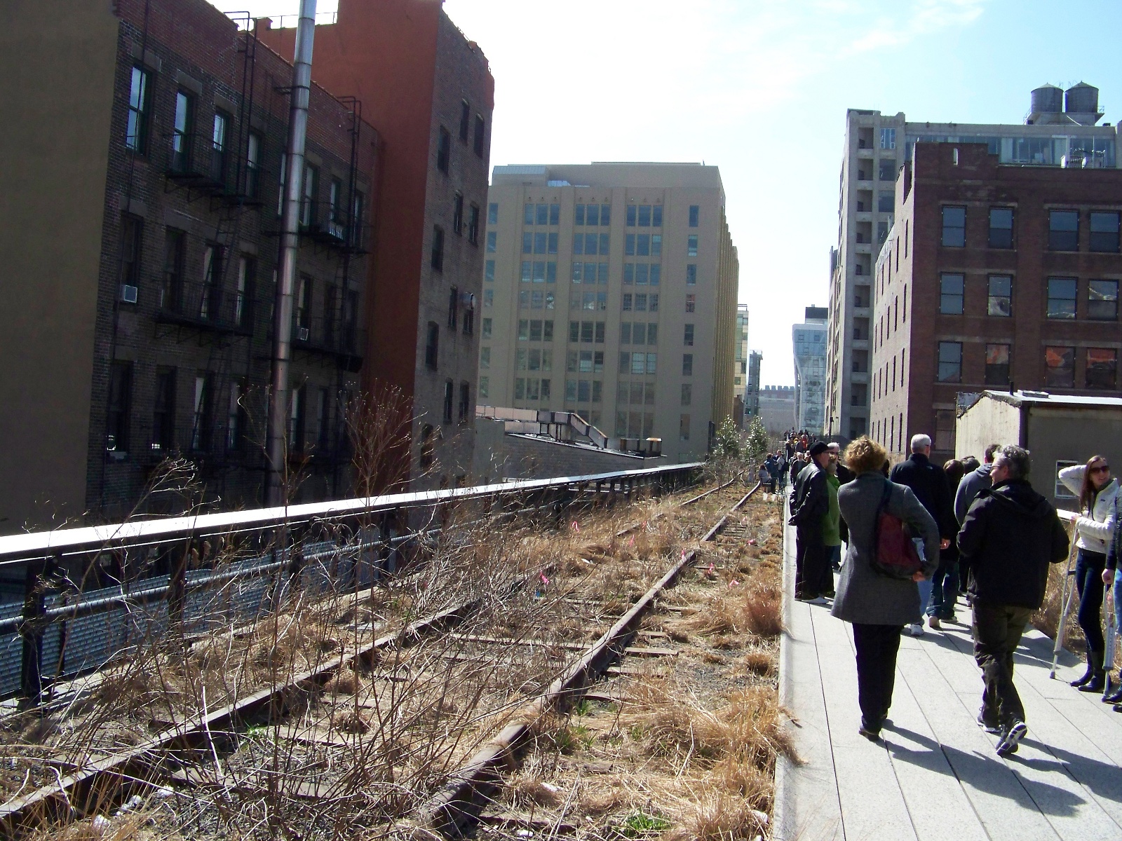 View of High Line Park.