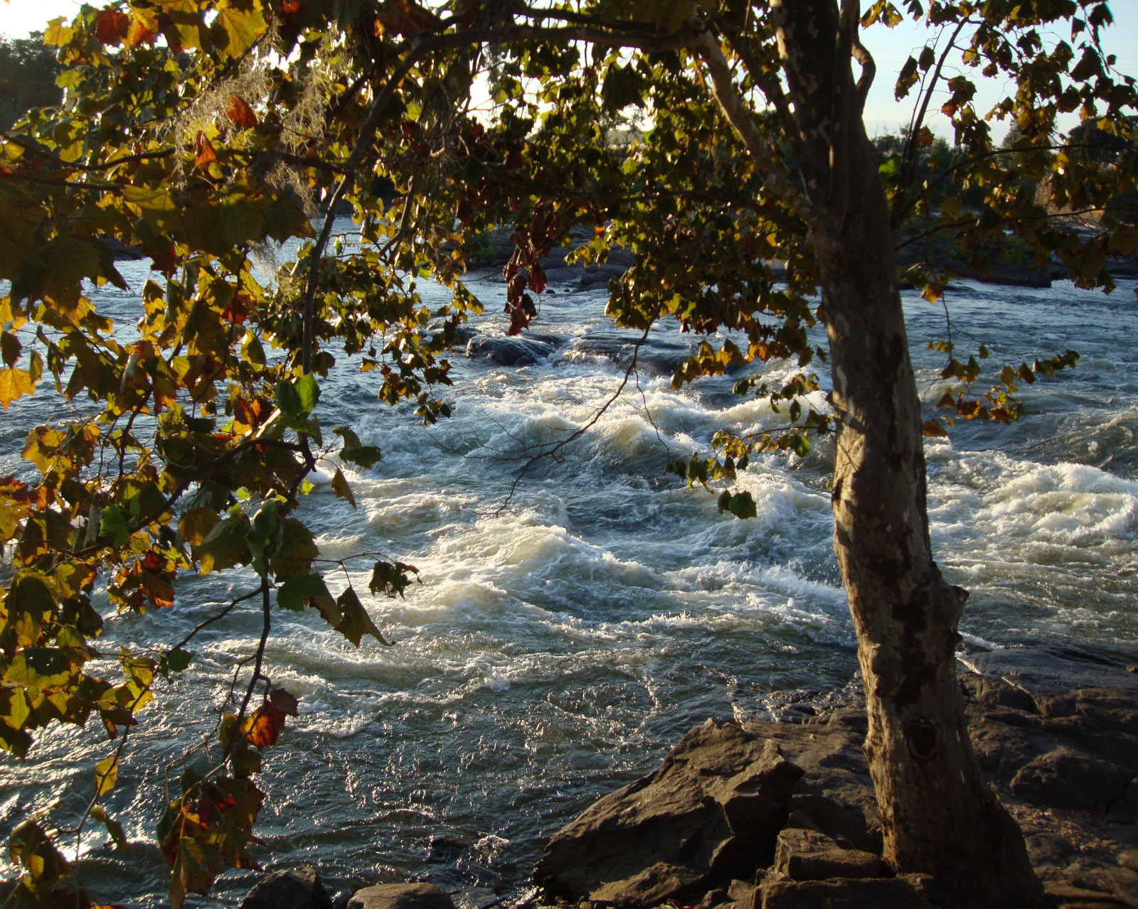Whitewater on the Chattahoochee