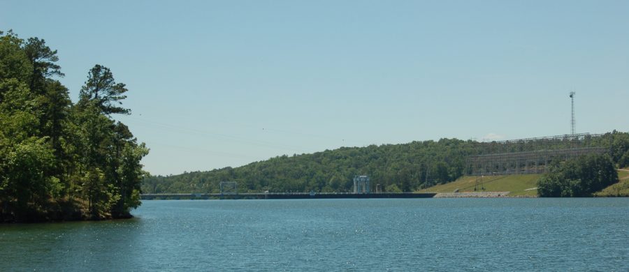 Martin Dam backside